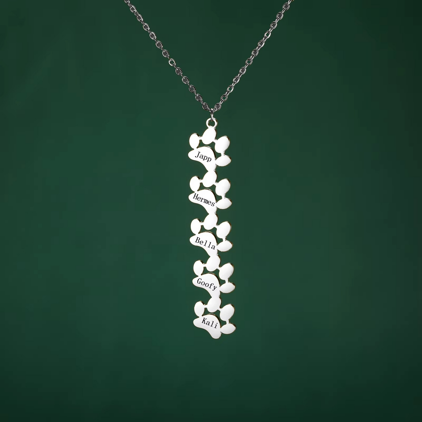 Compañero™ - Collar personalizado perro