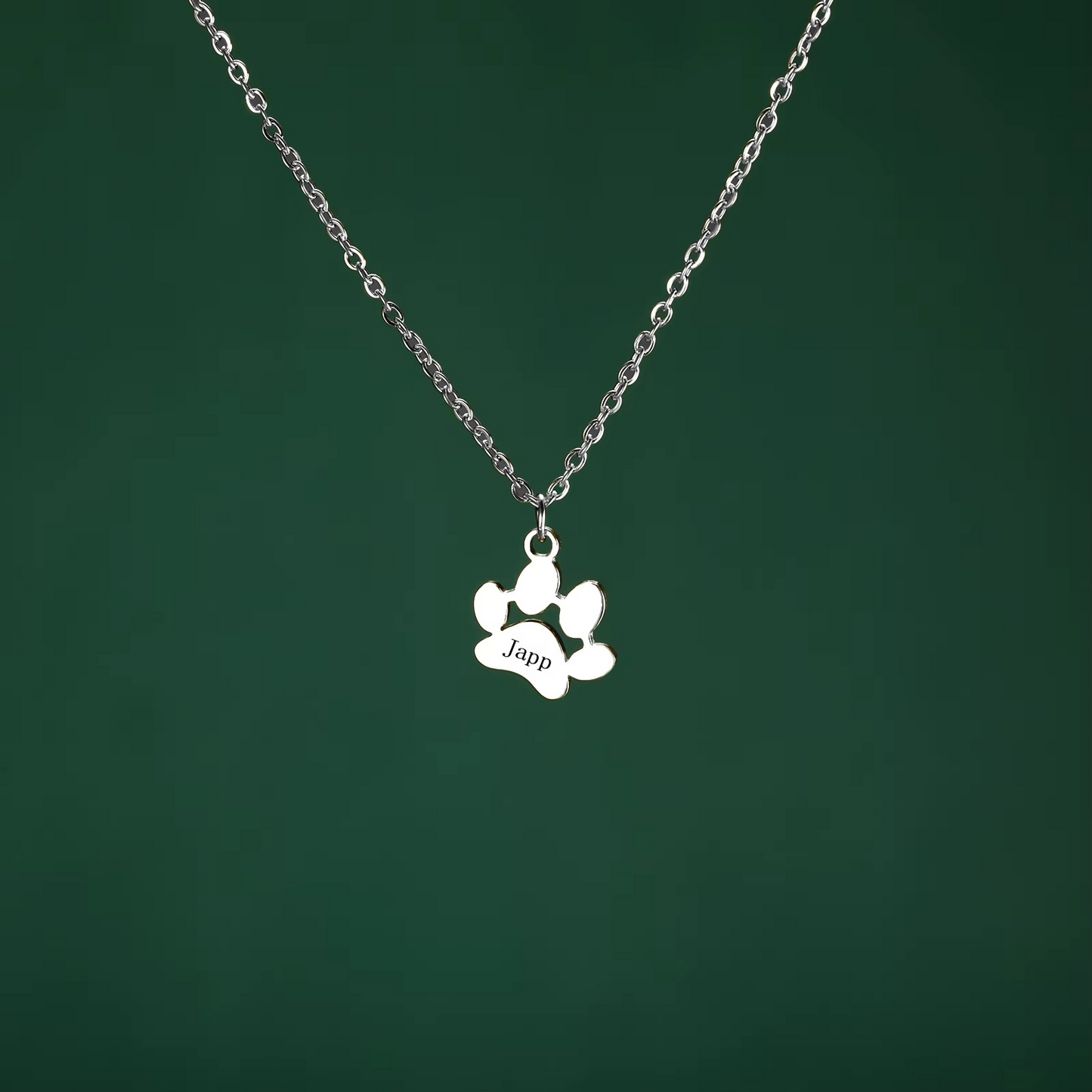 Compañero™ - Collar personalizado perro