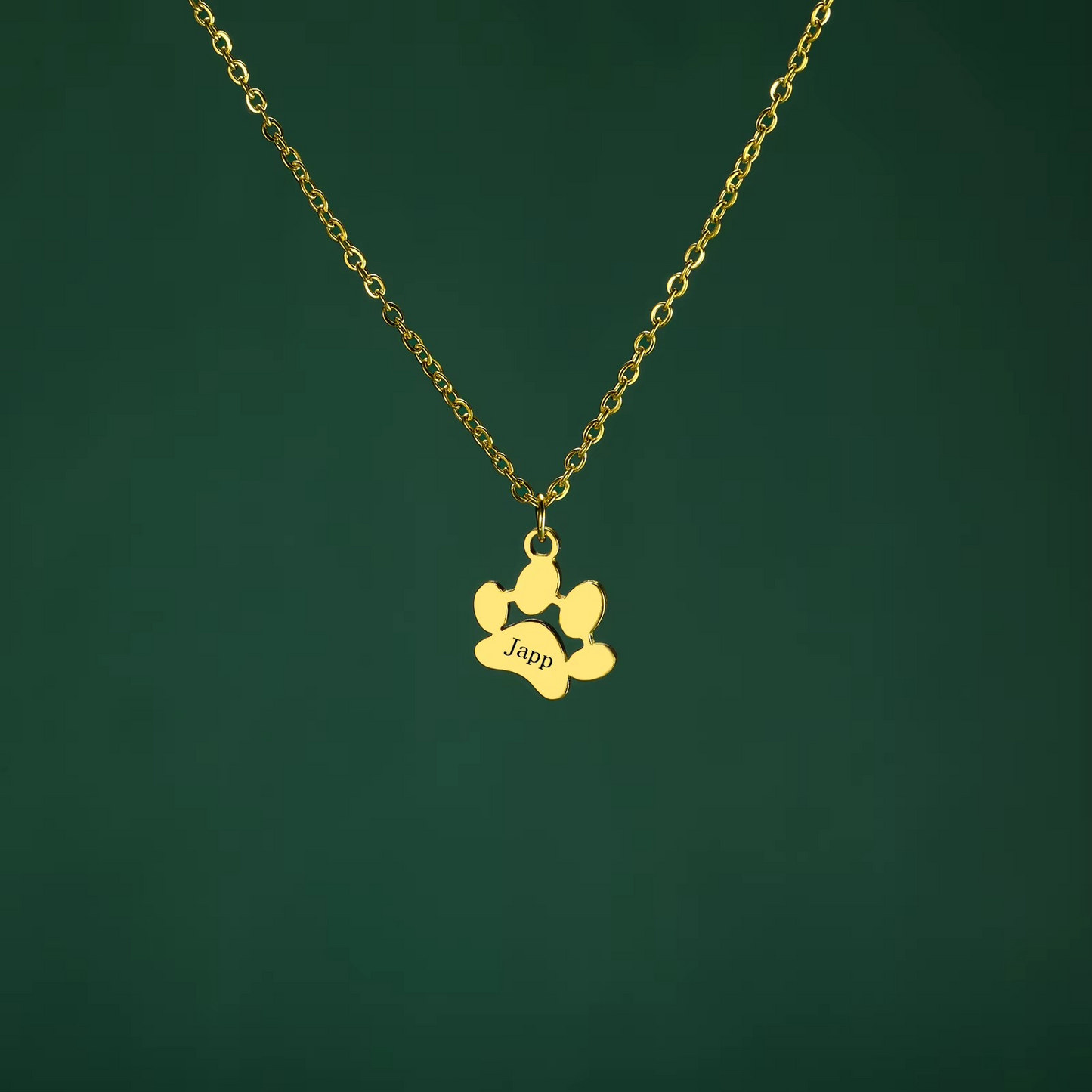Compañero™ - Collar personalizado perro